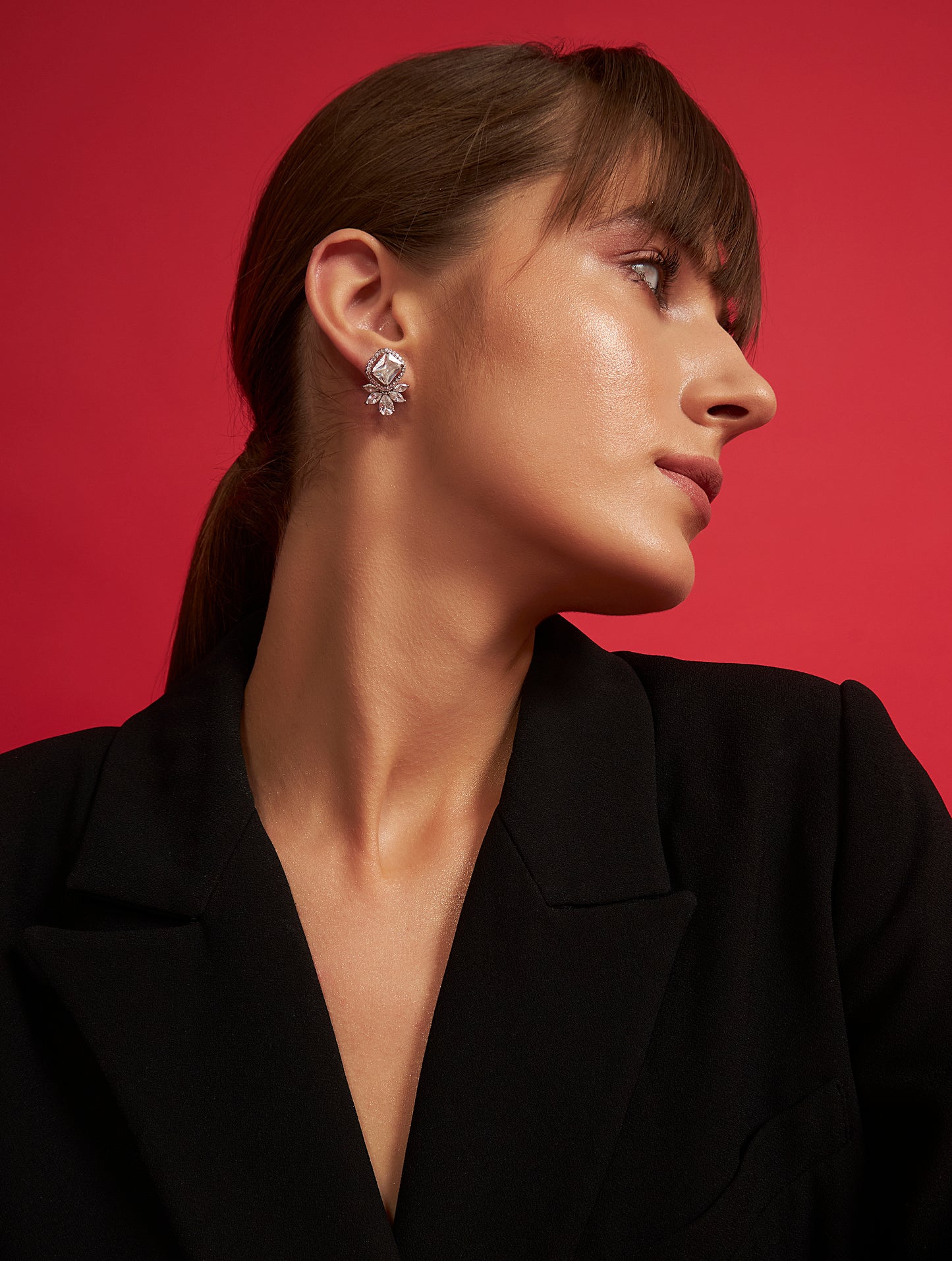 Premium silver studs solid earrings fashion accessory closeup