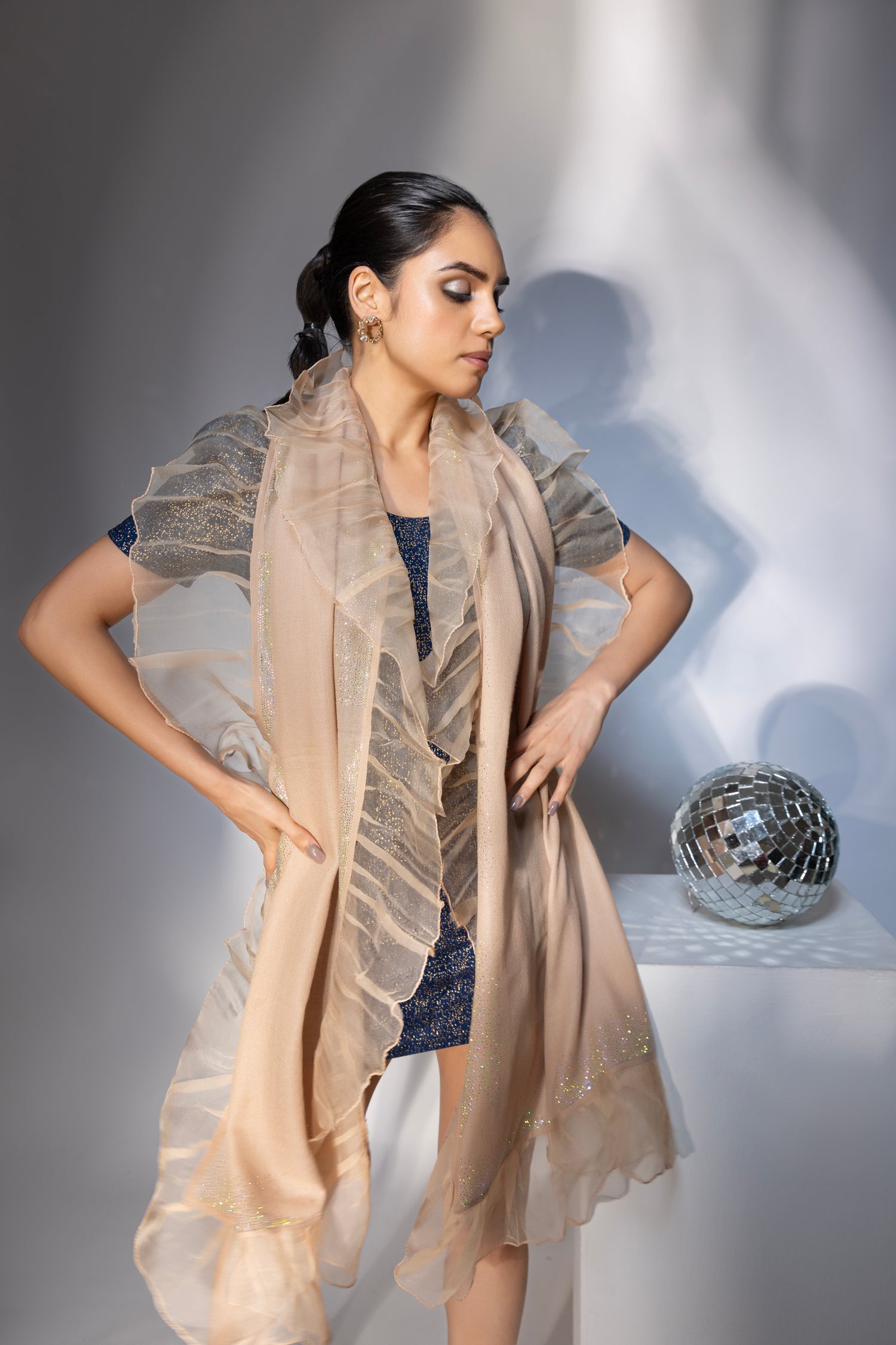 net shawl, beige shawl, net shawl for lehenga, organza shawl – modarta
