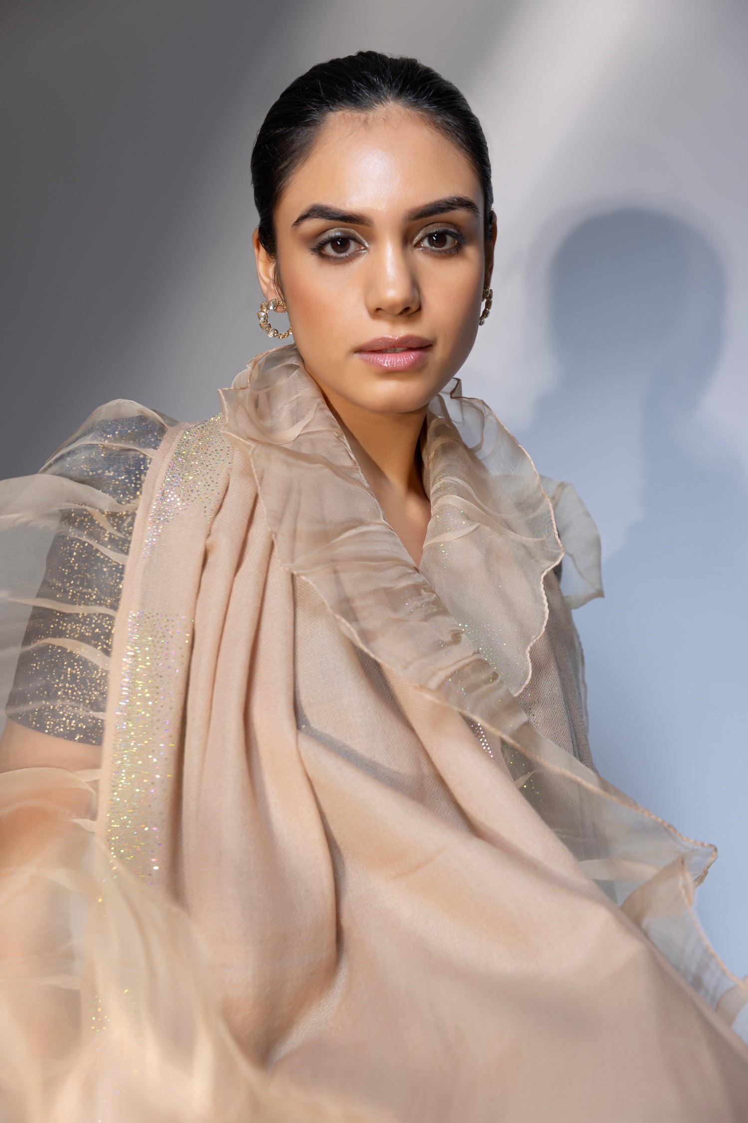 net shawl, beige shawl, net shawl for lehenga, organza shawl modarta net shawl, beige shawl, net shawl for lehenga, organza shawl modarta